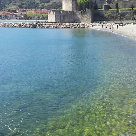 Charme A 20 M De La Centre Village 아파트 콜리우르