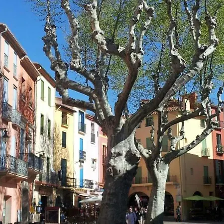 Charme A 20 M De La Centre Village Apartamento Collioure