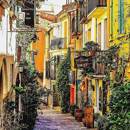 Charme A 20 M De La Centre Village Collioure