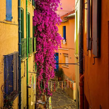 아파트 Charme A 20 M De La Centre Village *