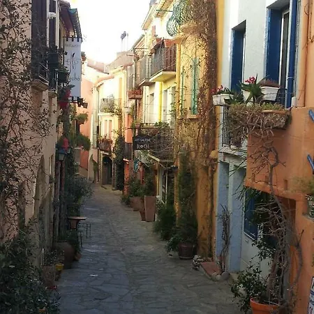 Charme A 20 M De La Centre Village 아파트