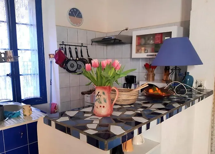 Charme A 20 M De La Centre Village * Collioure