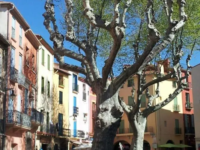 Charme A 20 M De La Centre Village Apartman Collioure