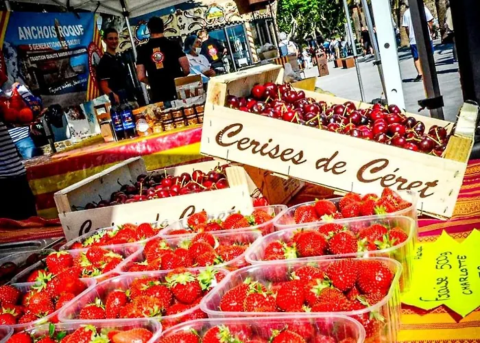 Charme A 20 M De La Centre Village Collioure