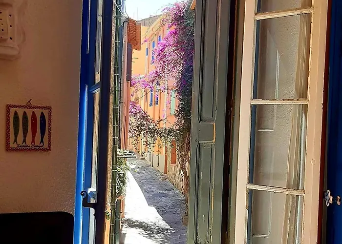 Charme A 20 M De La Centre Village Lejlighed Collioure