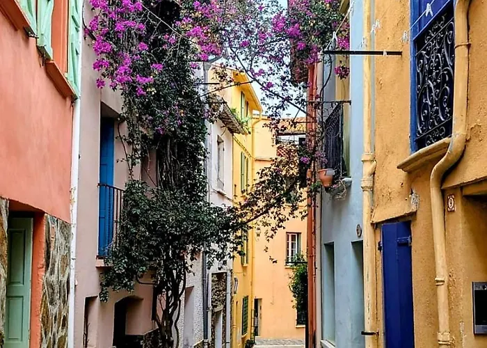 Charme A 20 M De La Centre Village Collioure